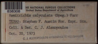 Image Associated With the Occurence